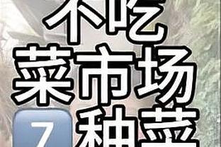 开云app登录入口官网下载安装